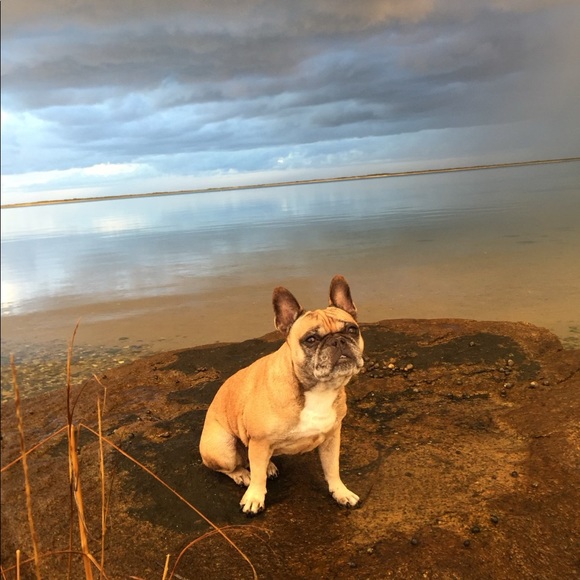 Meet your Posher, Ann - Picture 2 of 2